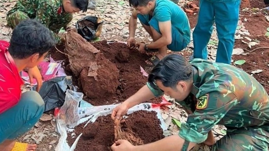 Search for remains of Vietnamese soldiers in Cambodia launched