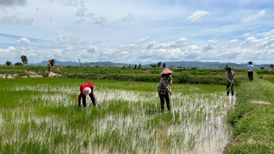 Bắt 4 cán bộ huyện chuyển mục đích sử dụng đất trái quy định ở Thái Bình