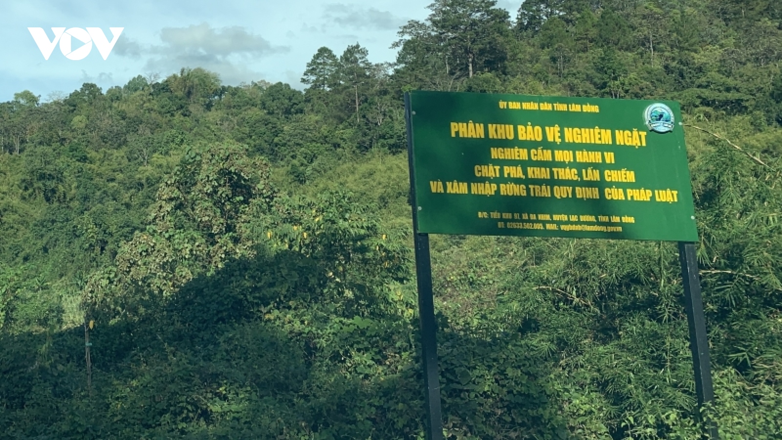 Cận cảnh rừng Quốc gia tại Đắk Lắk, Lâm Đồng bị phá để làm đường khi chưa được phép