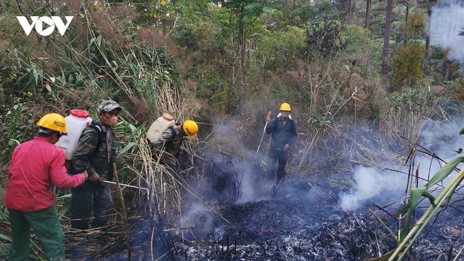 Lâm Đồng quyết liệt thực hiện các biện pháp chủ động phòng, chữa cháy rừng