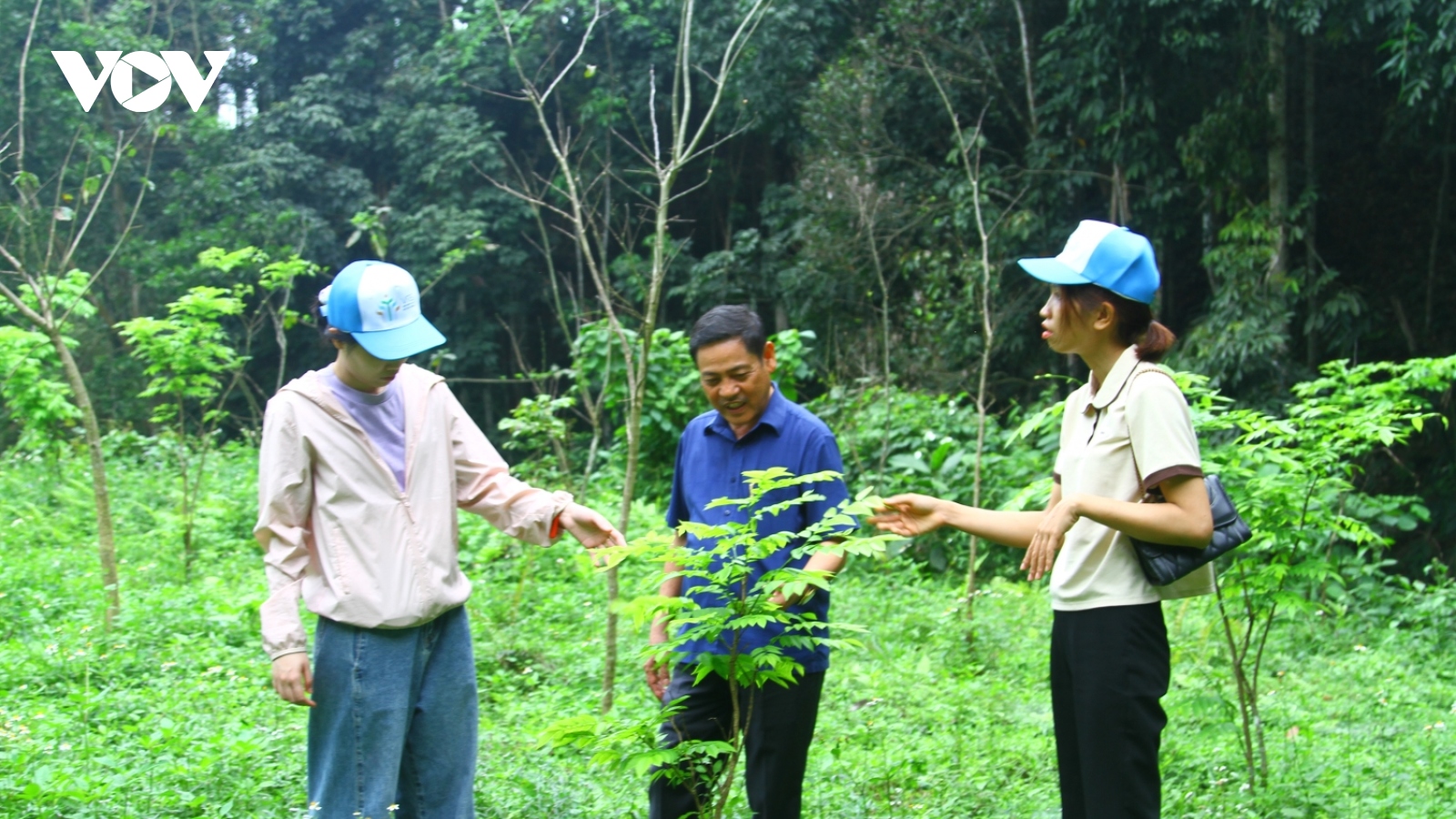 Xã hội hóa việc trồng rừng cây bản địa đầu nguồn ở miền núi Quảng Bình