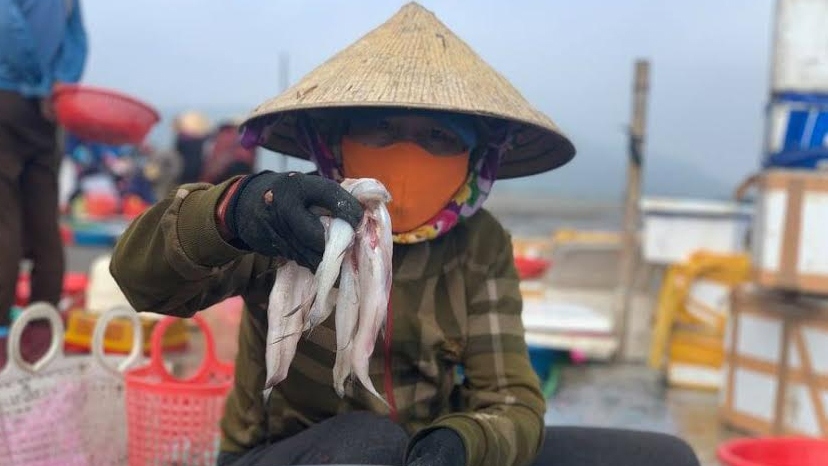 Rộn ràng ra khơi săn loại cá đặc sản, ngư dân Hà Tĩnh thu tiền triệu mỗi ngày