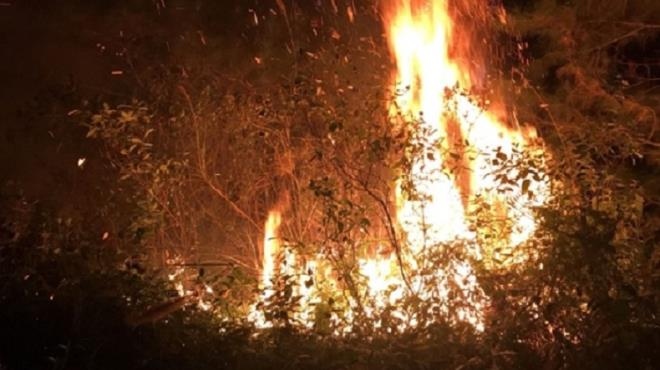 700 người được huy động dập tắt cháy rừng ở Sóc Sơn