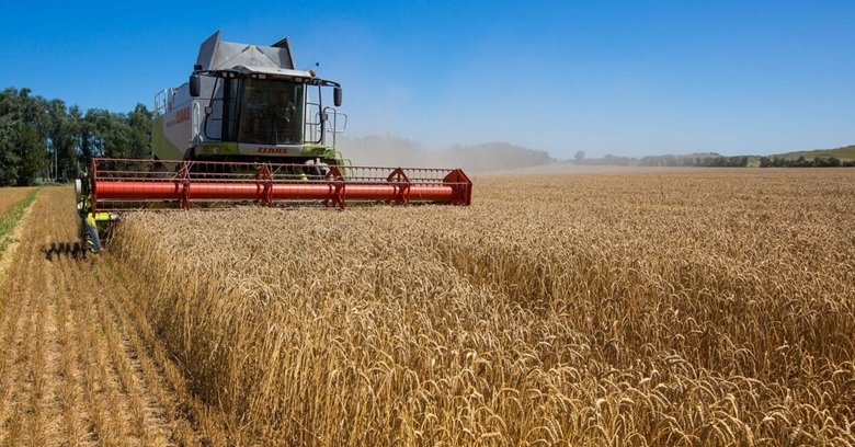 Thế giới tìm kiếm "hành lang xanh" cho xuất khẩu ngũ cốc của Ukraine