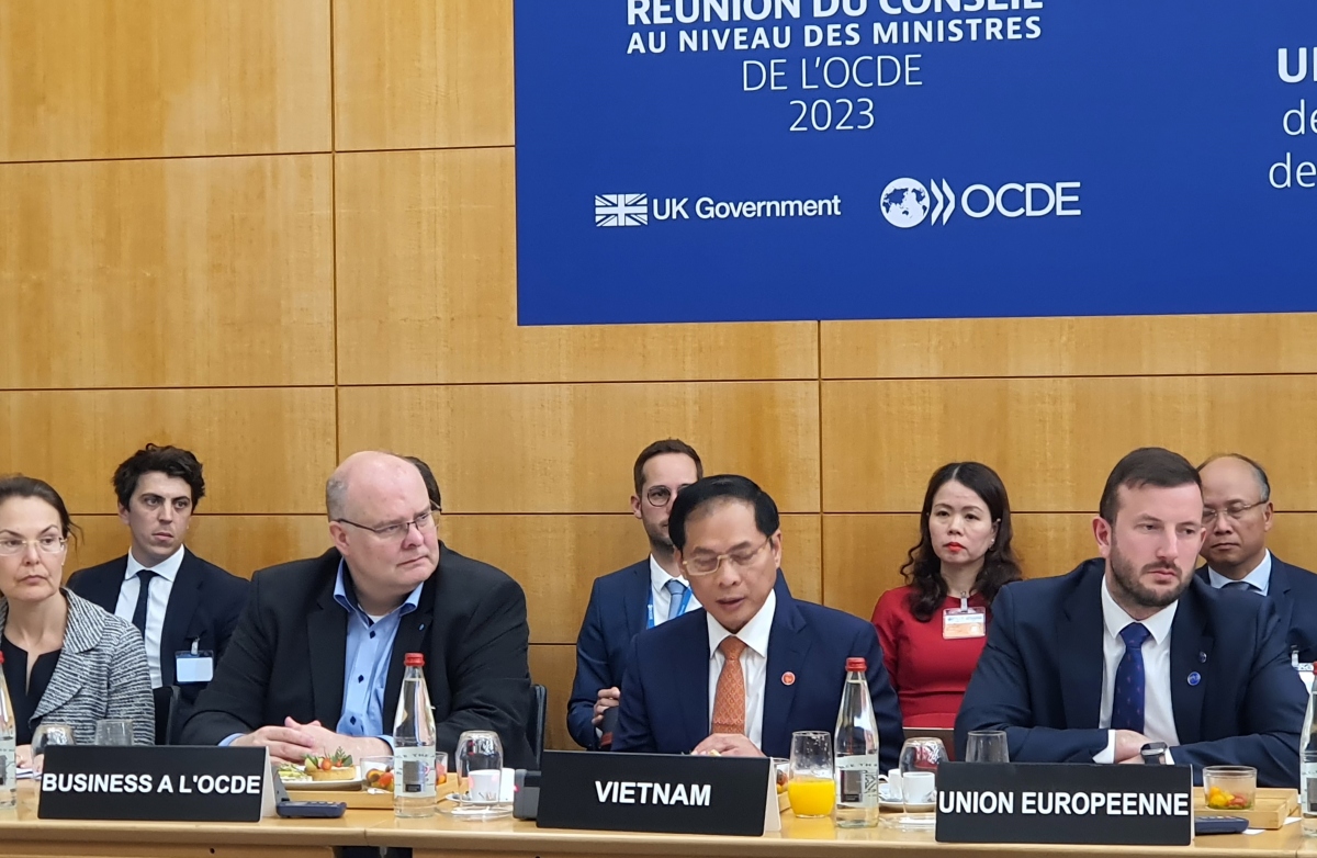 Việt Nam nhấn mạnh 4 tiêu chí để chuyển đổi xanh thành công tại OECD