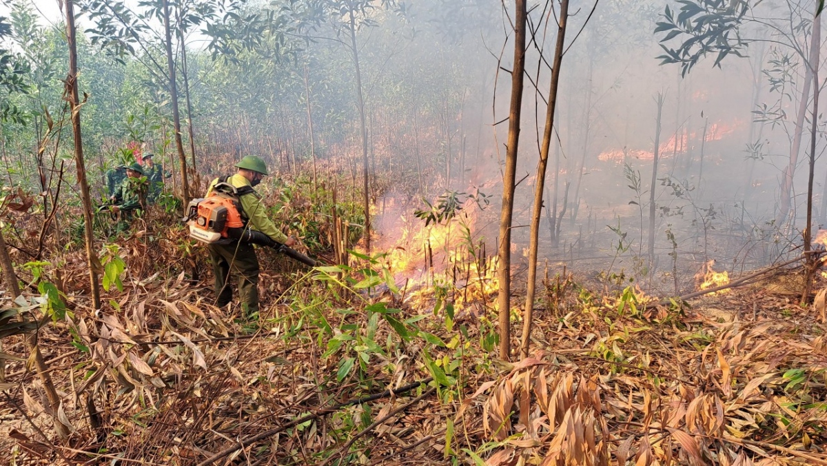 Thừa Thiên Huế tập trung cao độ phòng, chống cháy rừng