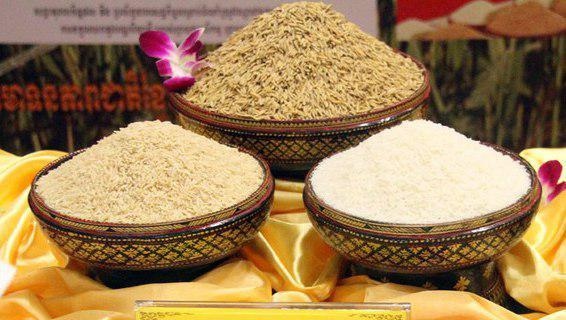 Giá lúa gạo Campuchia tăng kỷ lục sau lệnh cấm xuất khẩu của Ấn Độ