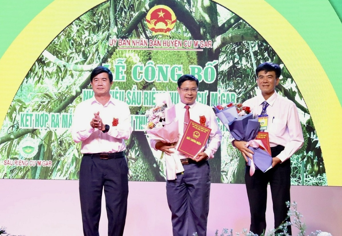 Đắk Lắk thêm 1 huyện được công nhận nhãn hiệu sầu riêng tập thể