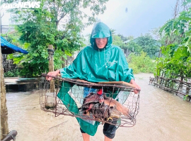 Quảng Nam sơ tán hơn 100 hộ dân khi lũ sông Vu Gia, Thu Bồn và Tam Kỳ lên nhanh