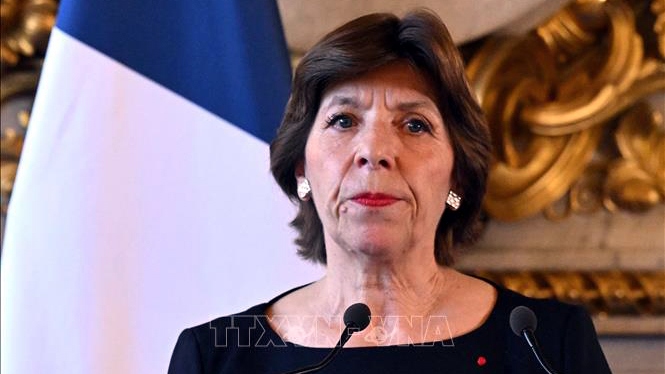 Ngoại trưởng Pháp: Cần hành lang nhân đạo để cung cấp viện trợ cho Gaza