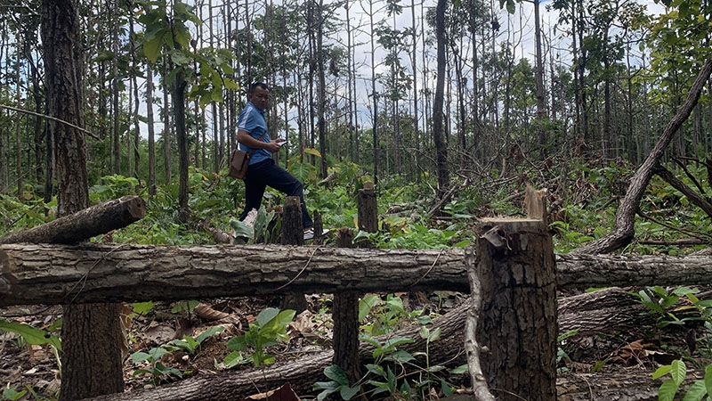 Tăng cường bảo vệ rừng Buôn Ja Wầm, Đắk Lắk sau thời gian dài bị tàn phá