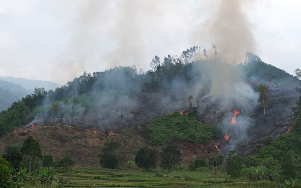 Điều tra, khởi tố vụ cháy hơn 32 ha rừng ở Quảng Nam