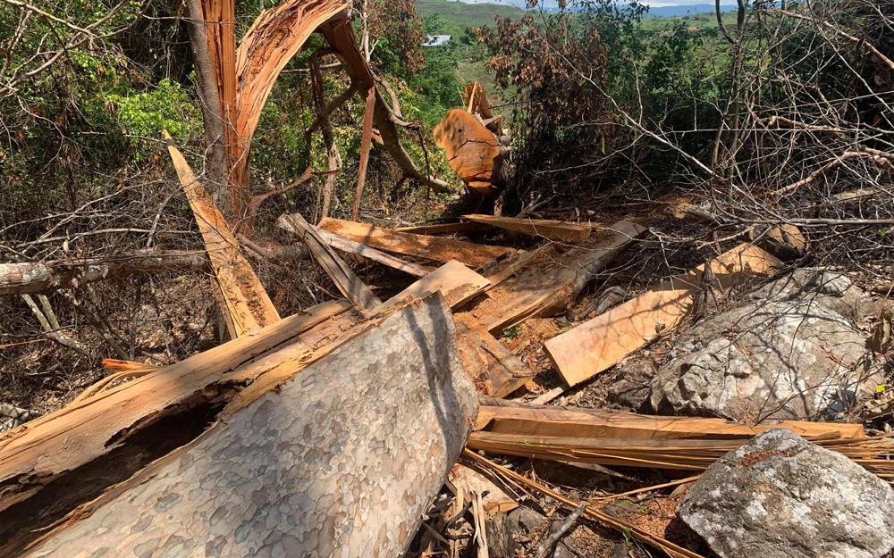 Tạm giữ 6 đối tượng để điều tra vụ phá rừng 103 m3 gỗ ở Kbang