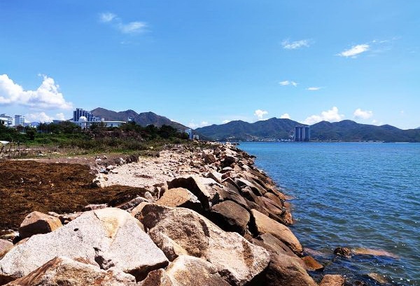 Khánh Hòa thu hồi dự án lấn biển làm công viên công cộng