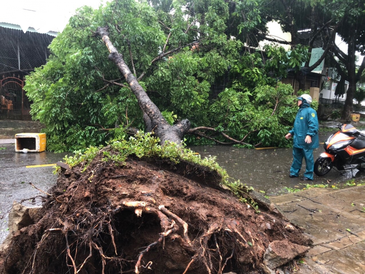 Gió bão càn quét gây nhiều thiệt hại trên phố núi Gia Lai