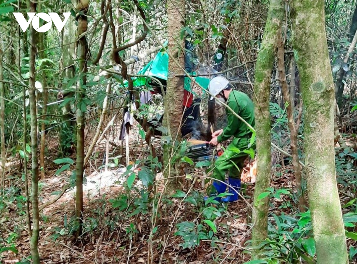 Thi thể một phụ nữ đang phân hủy trong khu rừng từng phát hiện 2 bộ xương khô