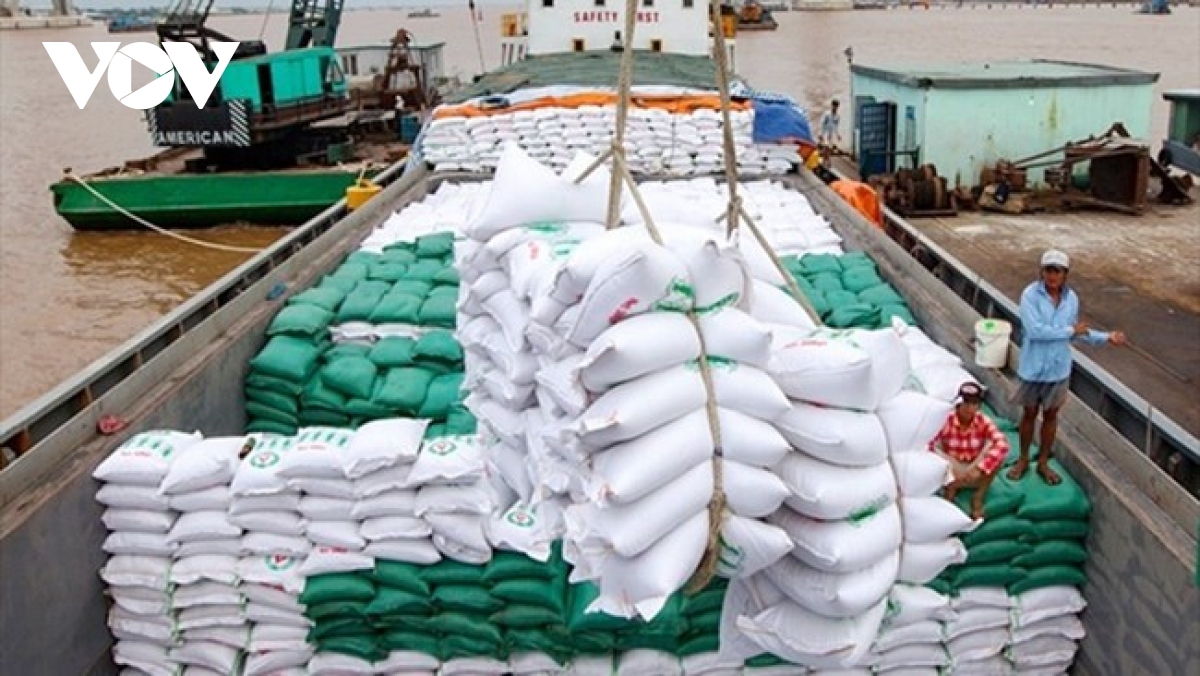 Xuất khẩu gạo 8 tháng 2023 tăng hơn 30% về giá trị