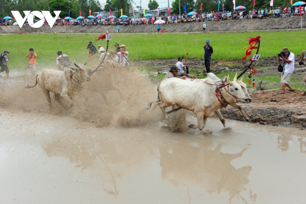 Tổ chức nhiều hoạt động văn hóa, thể thao dịp Senl Đolta của đồng bào Khmer