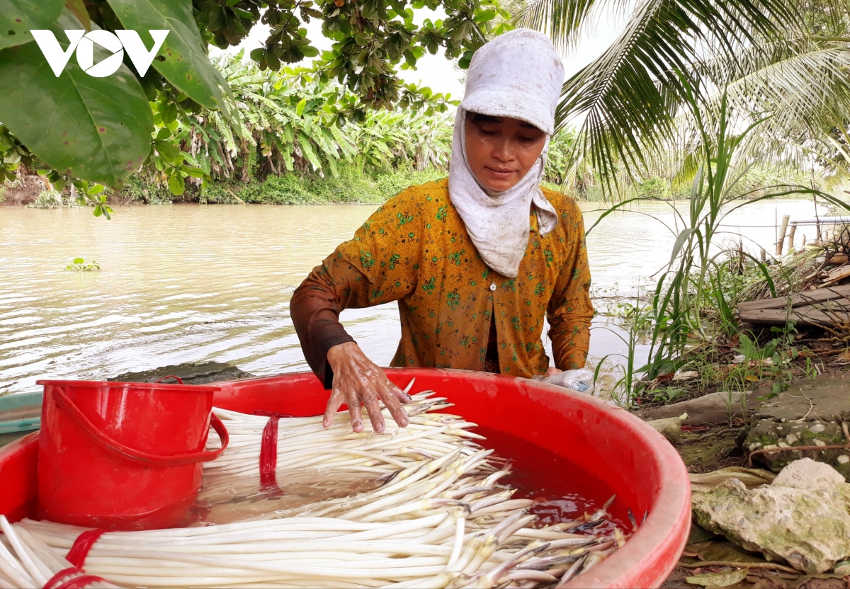 Nhiều mô hình kinh tế hiệu quả của phụ nữ Khmer Sóc Trăng