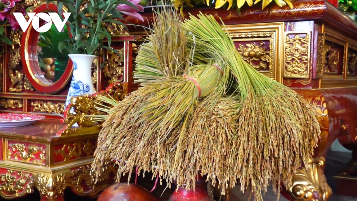 Phát lộc "Hạt vàng đất mẫu" tại đền Đông Cuông