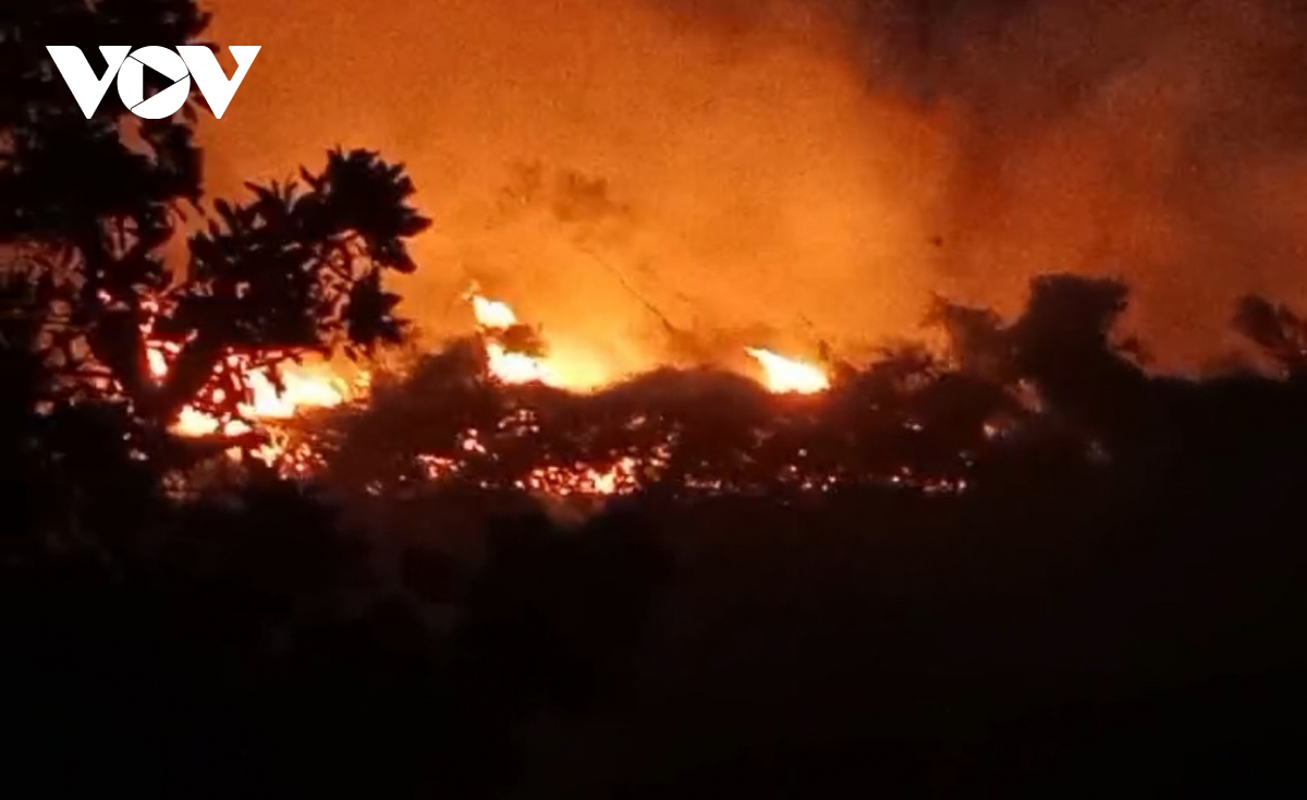 Dập tắt đám cháy 7.000m2 rừng trồng sản xuất ở Yên Bái