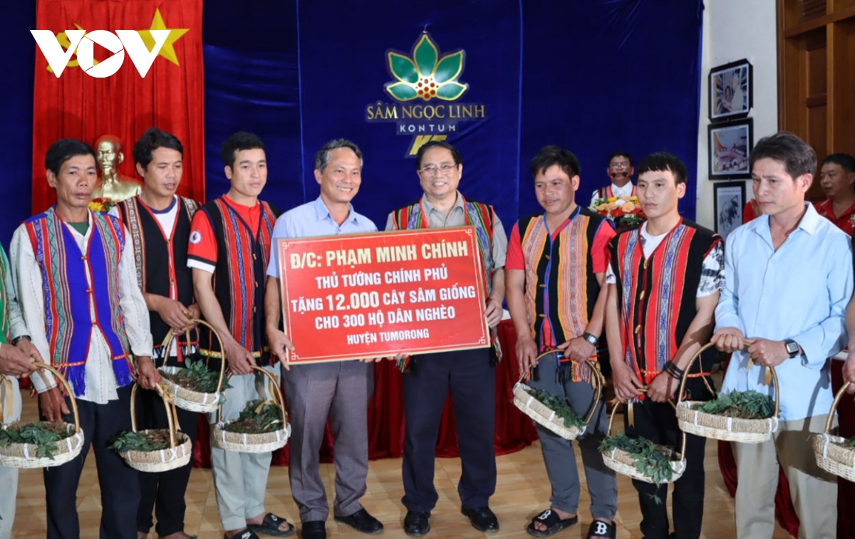 Trồng 12.000 cây sâm Ngọc Linh Thủ tướng tặng hộ nghèo huyện Tu Mơ Rông