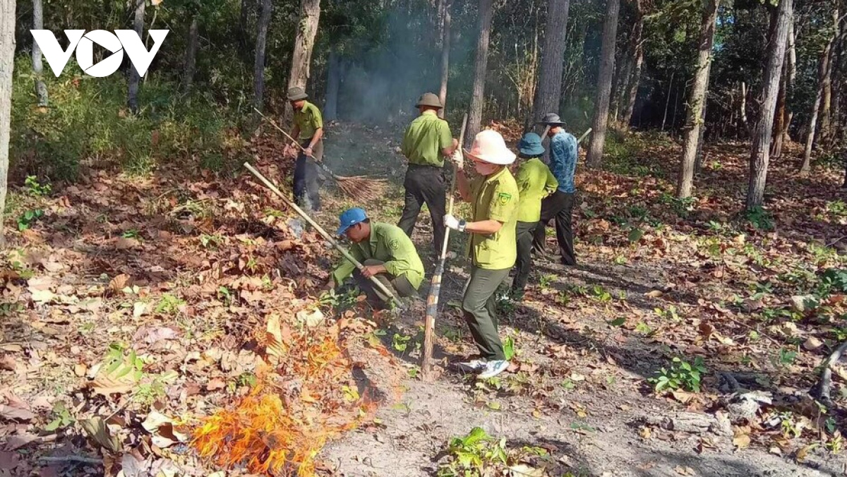 Đắk Lắk chủ động phòng chống cháy rừng cao điểm mùa khô