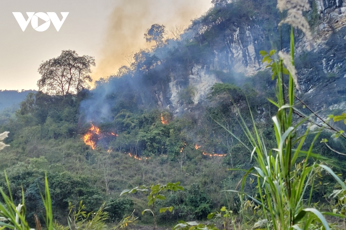 Cao Bằng tăng cường phòng cháy chữa cháy rừng cao điểm mùa khô