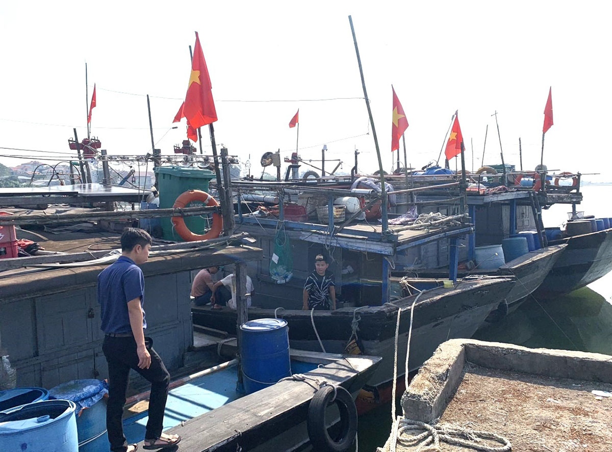 Thừa Thiên Huế thiếu hụt lao động nghề biển