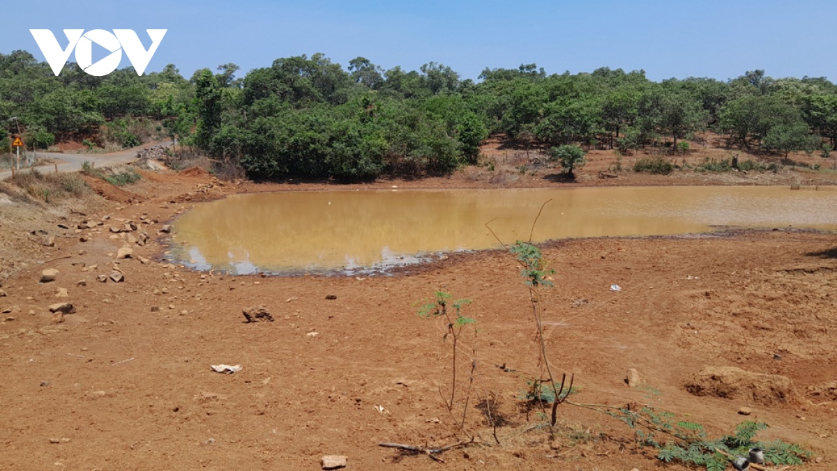 Hơn 10.170 ha cây trồng ở Bình Phước thiếu nước tưới, người dân lo mất mùa