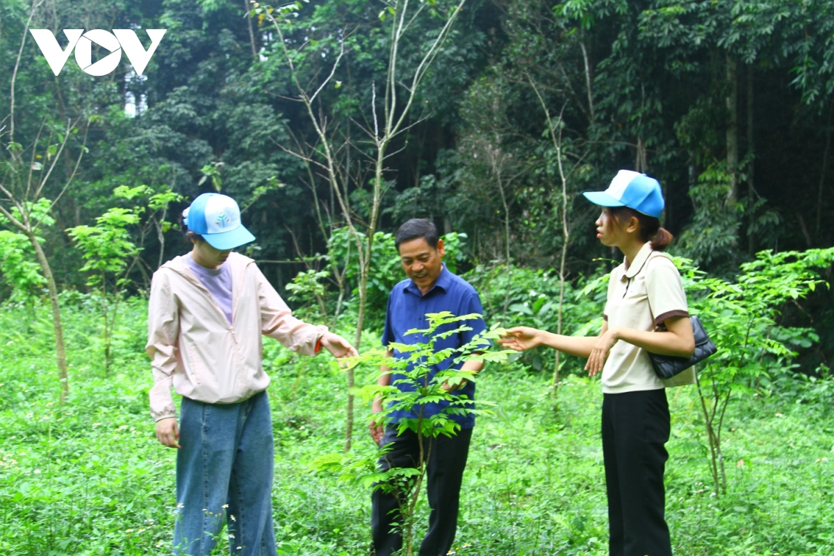 Xã hội hóa việc trồng rừng cây bản địa đầu nguồn ở miền núi Quảng Bình