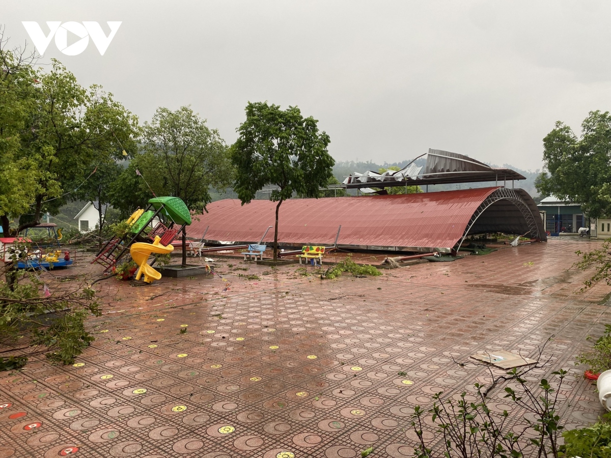 Dông lốc quật đổ loạt cây xanh ở Lào Cai, gần 170 nhà dân bị hư hại