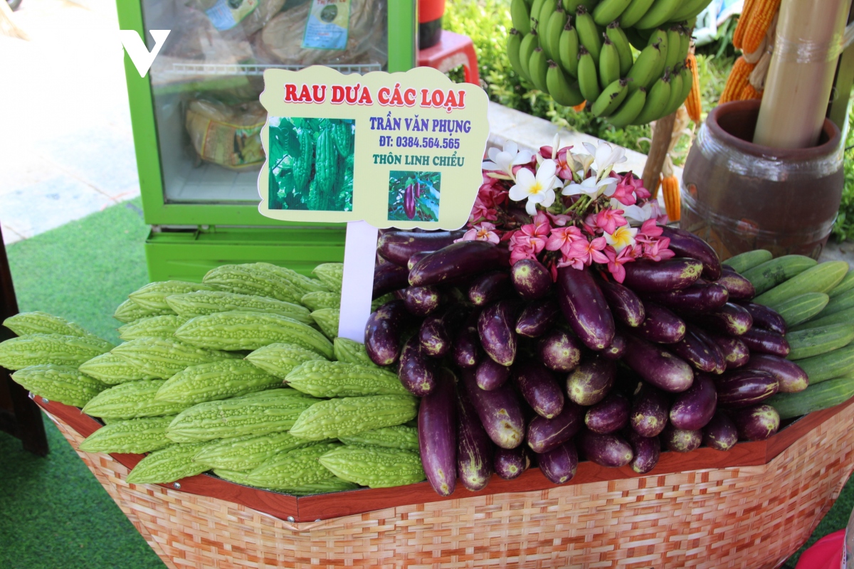 Hơn 100 sản phẩm nông nghiệp trình làng ở “thủ phủ” trái cây Bình Định