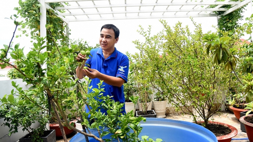 Những sao Việt đam mê làm vườn, thu hoạch rau trái như nông dân thực thụ