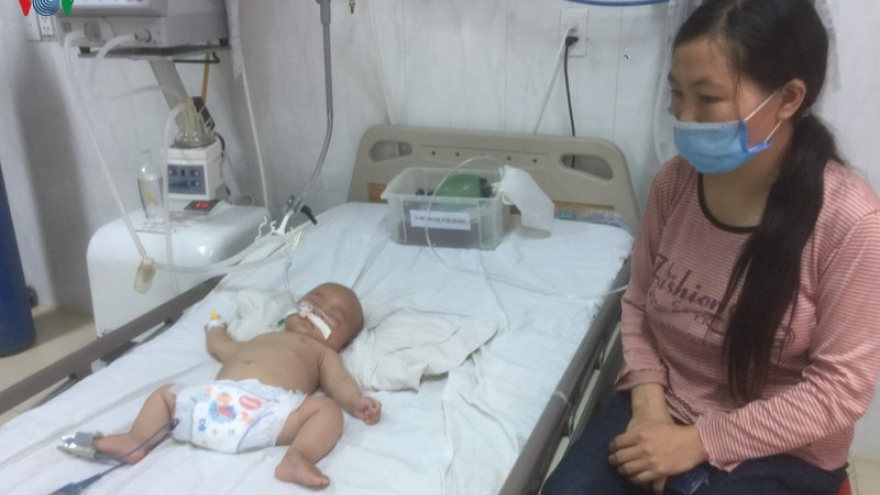Phát hiện 2 cháu bé ở Đắk Lắk bị viêm não Nhật Bản