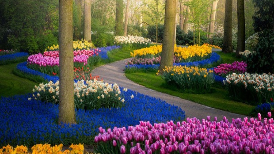Choáng ngợp với vườn hoa đẹp nhất thế giới đóng cửa sau 71 năm