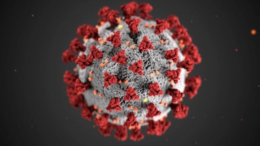 WHO muốn Mỹ cung cấp chứng cứ về nguồn gốc virus SARS CoV-2