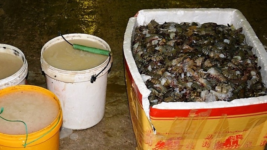 Thương lái ở Cà Mau bị phạt 60 triệu đồng vì đưa tạp chất vào tôm