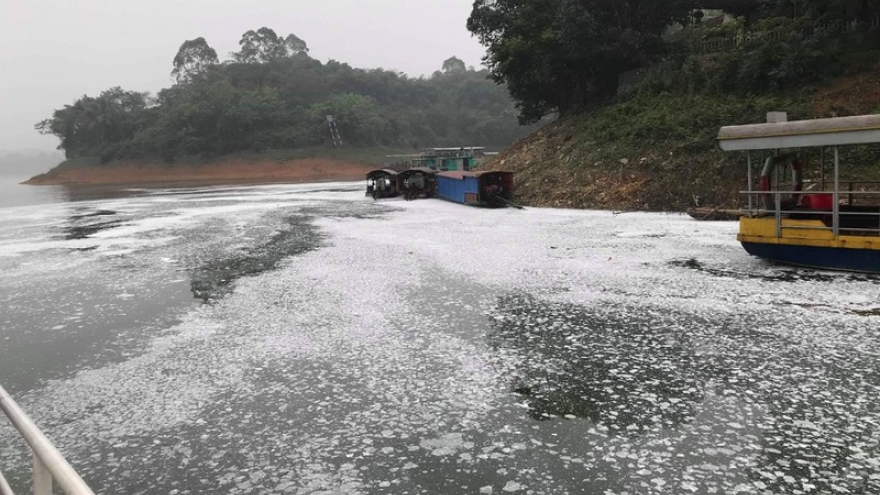 Bột trắng “vô chủ” xuất hiện ven hồ Thác Bà, Yên Bái