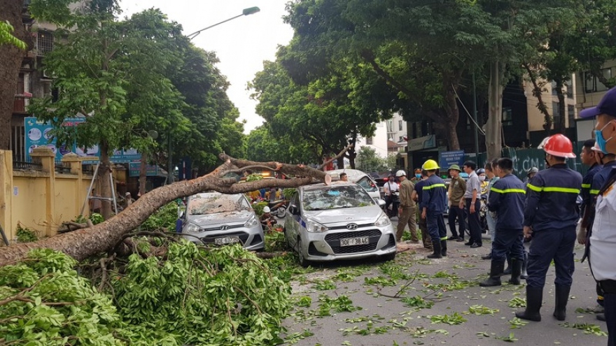 Cây cổ thụ đổ đè 3 ô tô cạnh cổng Bệnh viện 108 Hà Nội