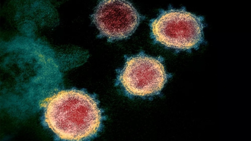Vì sao một số người chưa từng mắc Covid-19 vẫn có khả năng miễn dịch?