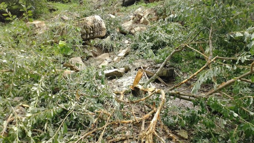 
        Huyện Mộc Châu rà soát khu vực có nguy cơ sạt lở sau động đất
                              