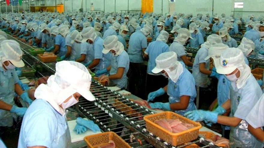 Bất chấp dịch Covid-19, xuất khẩu tôm Việt Nam vẫn tăng 5,7%