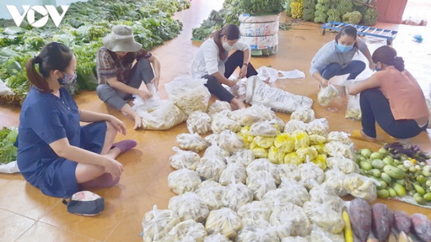 Đồng bào miền núi Nam Trà My, Quảng Nam ủng hộ Đà Nẵng 9 tấn rau rừng