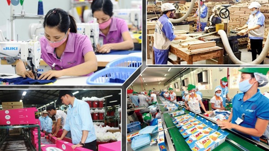 Từ 1/8, nhiều mặt hàng chủ lực của Việt Nam được hưởng lợi từ EVFTA