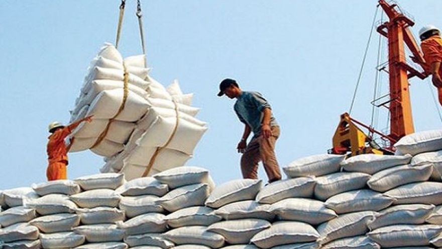 80.000 tấn gạo miễn thuế sẽ “bước chân” vào thị trường EU mỗi năm