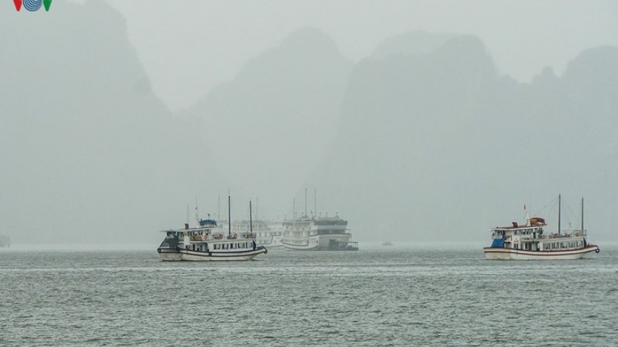 Tạm dừng cấp phép tàu tham quan, lưu trú trên vịnh Hạ Long