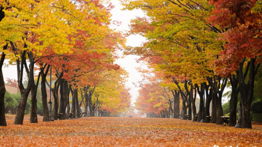 10 địa điểm nên ghé thăm khi đến thành phố Ulsan, Hàn Quốc
