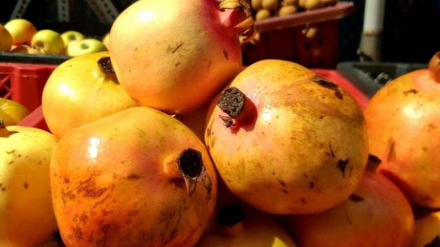 Nhiều loại trái cây ngoại đắt đỏ đổ vào Việt Nam