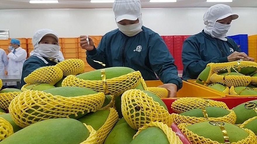 Chuyên gia kiểm dịch xuất khẩu trái cây Hoa Kỳ sẽ đến Việt Nam vào 2/9